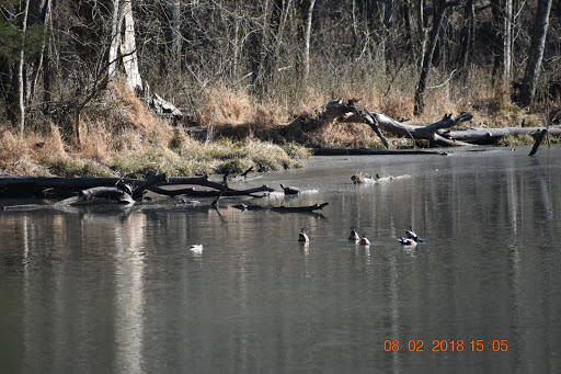 State Park «Radnor Lake State Park», reviews and photos, 1160 Otter Creek Rd, Nashville, TN 37220, USA