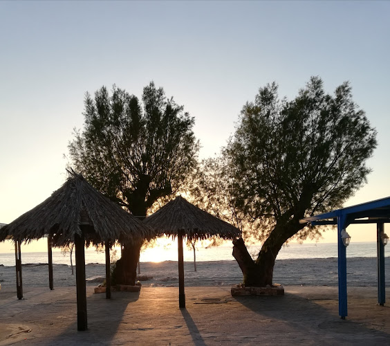 Comentarii opinii despre Chill Out Bar - Cafe Sports games & shisha & delivery 7:00 -14:00