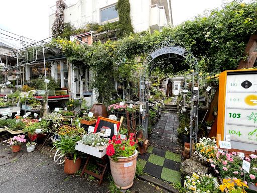 Flower Plants Cafe Jiyugaoka