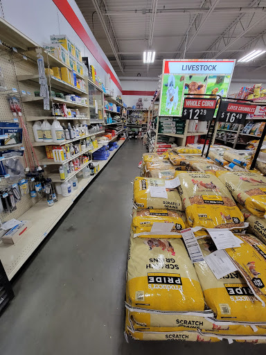 Home Improvement Store «Tractor Supply Co.», reviews and photos, 5940 New Jesup Hwy, Brunswick, GA 31523, USA