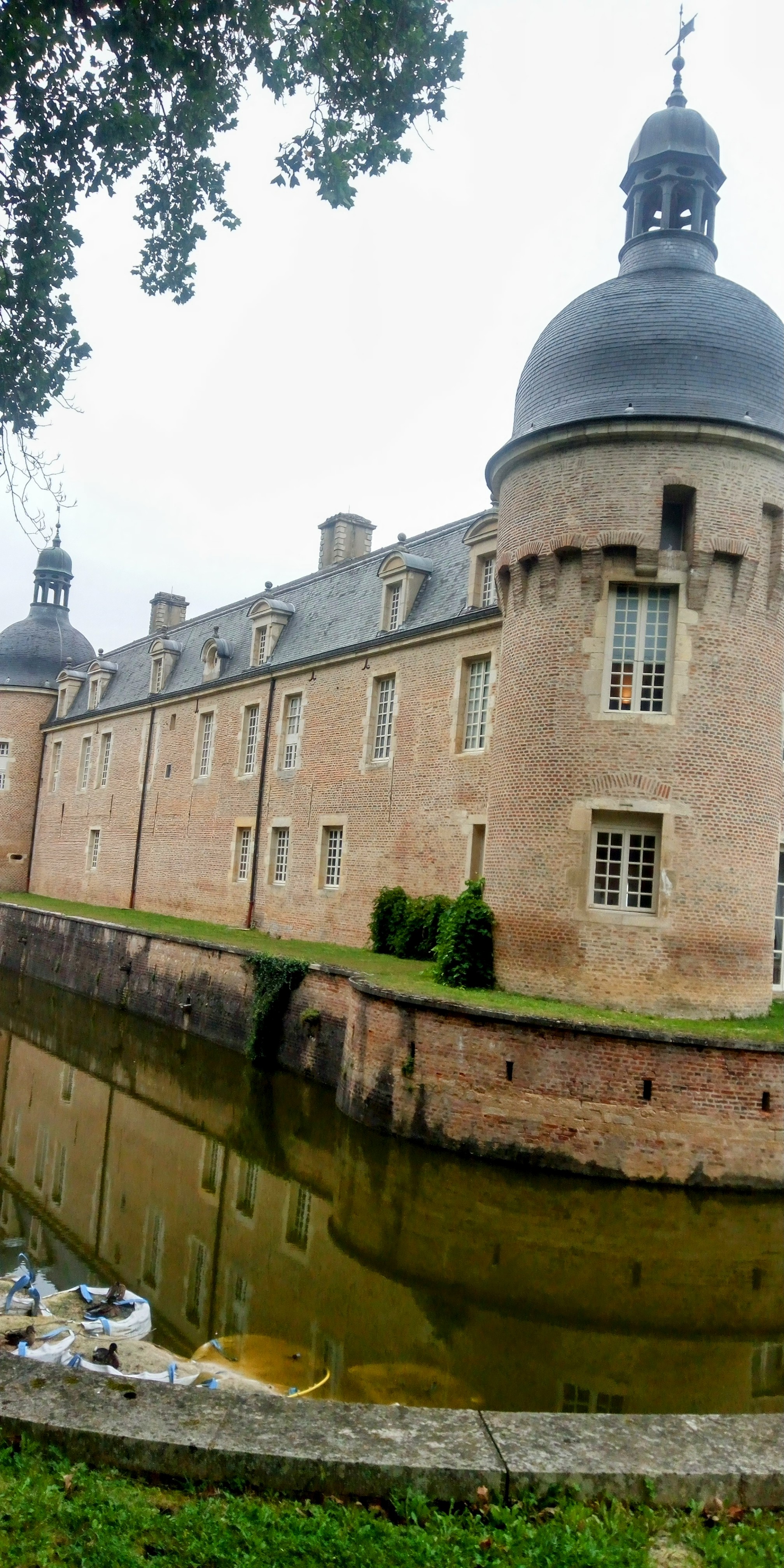 Photo n° 3 de l'avis de P. fait le 29/08/2023 à 12:10