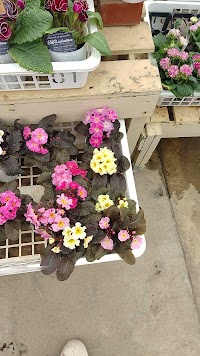 ガーデンセンターさにべる