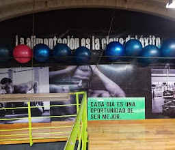 STOR GYM photo