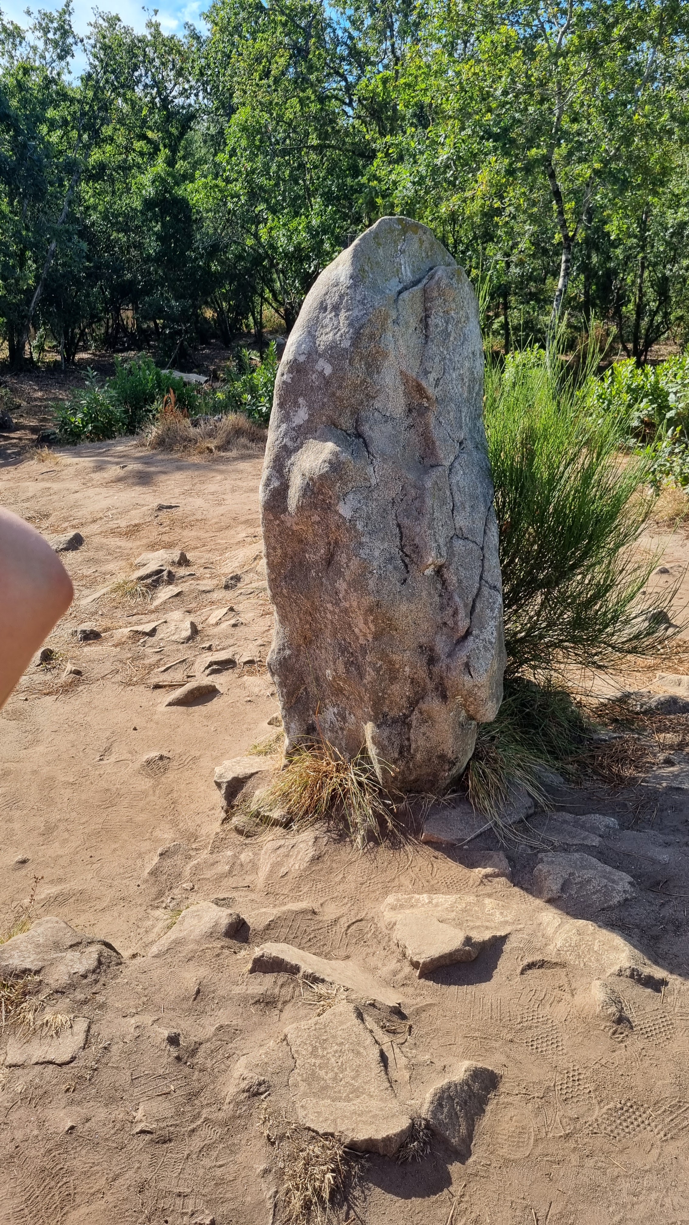 Photo n° 2 de l'avis de Robert. fait le 22/08/2022 à 17:52