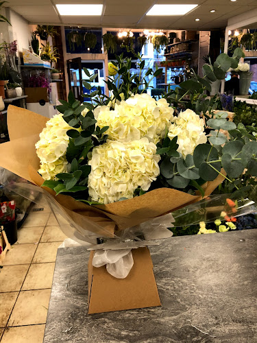 Comments and reviews of SW Blooms Florist