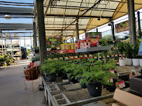 The Home Depot - Photo 7 - Car repair in Fort Myers, FL, Bonita Springs