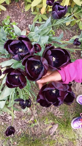 Personal Injury Attorney «Martin, Harding & Mazzotti, LLP», reviews and photos