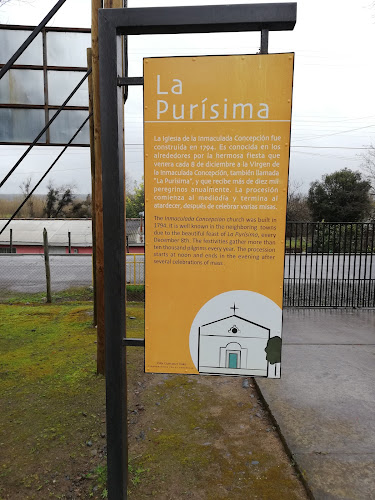 Opiniones de Santuario Inmaculada Concepción de Corinto "Iglesia La Purísima" en Pencahue - Iglesia