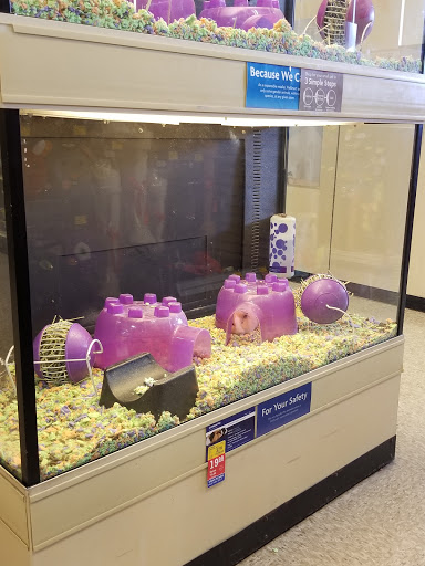 PetSmart