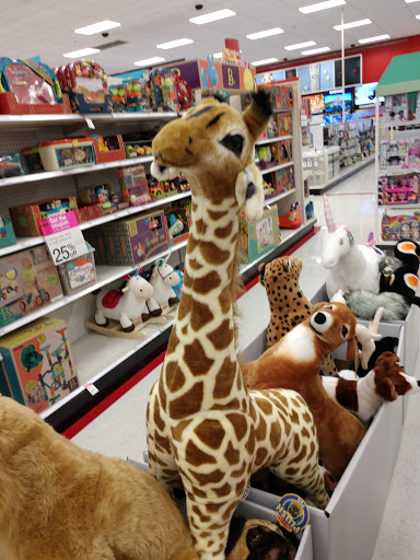 Department Store «Target», reviews and photos, 1040 Dale Mabry Hwy, Lutz, FL 33548, USA