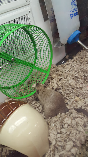 Pet Supply Store «Petco Animal Supplies», reviews and photos, 1970 S Robert St, West St Paul, MN 55118, USA