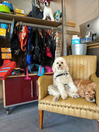 Pet Supply Store «Wally Pets», reviews and photos, 4411 Wallingford Ave N, Seattle, WA 98103, USA