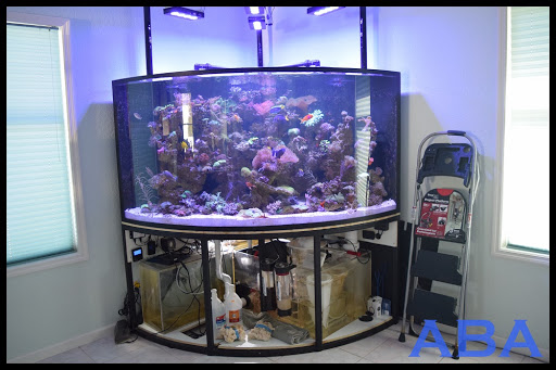 Aquarium «Atlantic Blue Aquariums», reviews and photos, 801 Northlake Blvd, North Palm Beach, FL 33408, USA