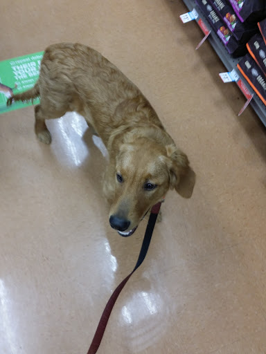 Pet Supply Store «Petco Animal Supplies», reviews and photos, 15660 SW Pacific Hwy, Tigard, OR 97224, USA