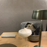 Photo n°1 de l'avis de pasquale.a fait le 07/06/2022 à 20:37 sur le  SpeakEasy à Correggio