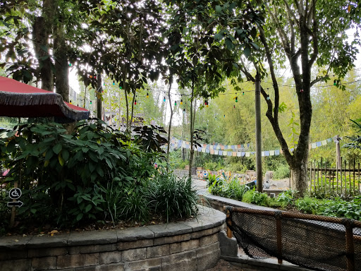 Tourist Attraction «Kali River Rapids», reviews and photos, Asia, Kissimmee, FL 34747, USA