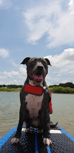 Pet Supply Store «Petco Animal Supplies», reviews and photos, 1250 William D Tate Ave #200, Grapevine, TX 76051, USA