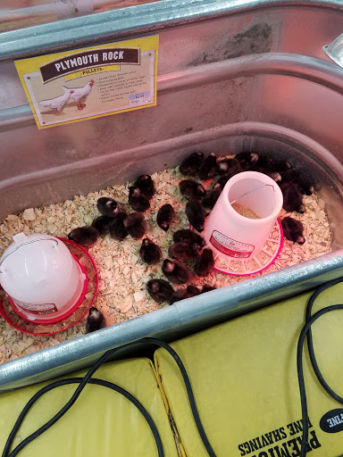 Home Improvement Store «Tractor Supply Co.», reviews and photos, 240 Cross Roads Plz, Mt Pleasant, PA 15666, USA