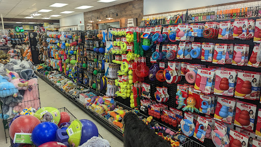 Pet Supply Store «Four Your Paws Only», reviews and photos, 1821 White Mountain Hwy, North Conway, NH 03860, USA