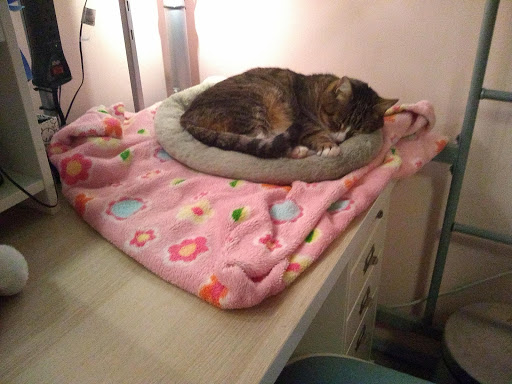 Pet Supply Store «PetSmart», reviews and photos, 12341 Seal Beach Blvd, Seal Beach, CA 90740, USA