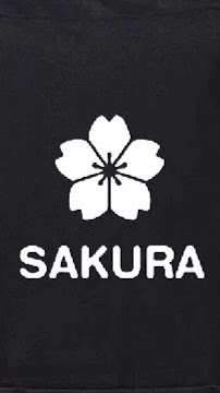 Photos du propriétaire du Restaurant japonais Restaurant Sakura à Dax - n°9