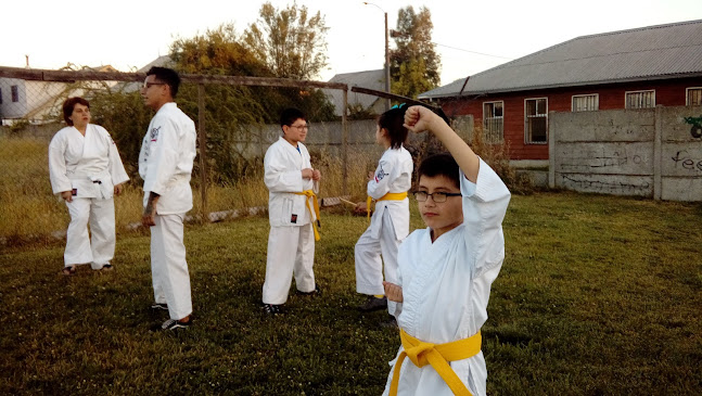 Opiniones de Kohai Karate Do en Linares - Gimnasio