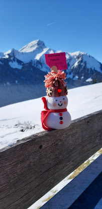 Les plus récentes photos du Restaurant Chalet de Théo à Châtel - n°3