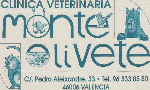 Clínica Veterinaria Monteolivete