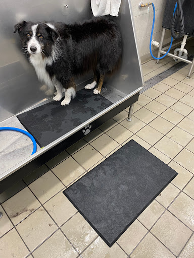 Pet Supply Store «Pet Supplies Plus», reviews and photos, 7041 Barker Cypress Rd, Cypress, TX 77433, USA