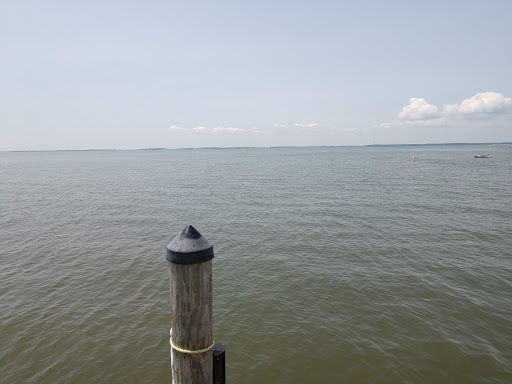 Parasailing Ride Service «FLY DEWEY - Dewey Beach Parasail», reviews and photos, 113 Dickinson St, Dewey Beach, DE 19971, USA