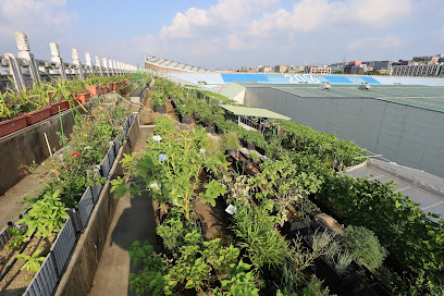 花博綠屋頂智慧農場 EXPO Green Roof Farm