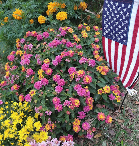 Thrift Store «Second Blessing Thrift Store Inc.», reviews and photos, 2323 Central Ave, Wichita, KS 67214, USA