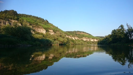 Tierheim Hamlar unter Asbach-Bäumenheim, Bayern