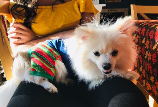 Pet Supply Store «PetSmart», reviews and photos, 88 Dunning Rd, Middletown, NY 10940, USA