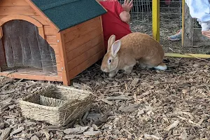 Animal Assisted Happiness image