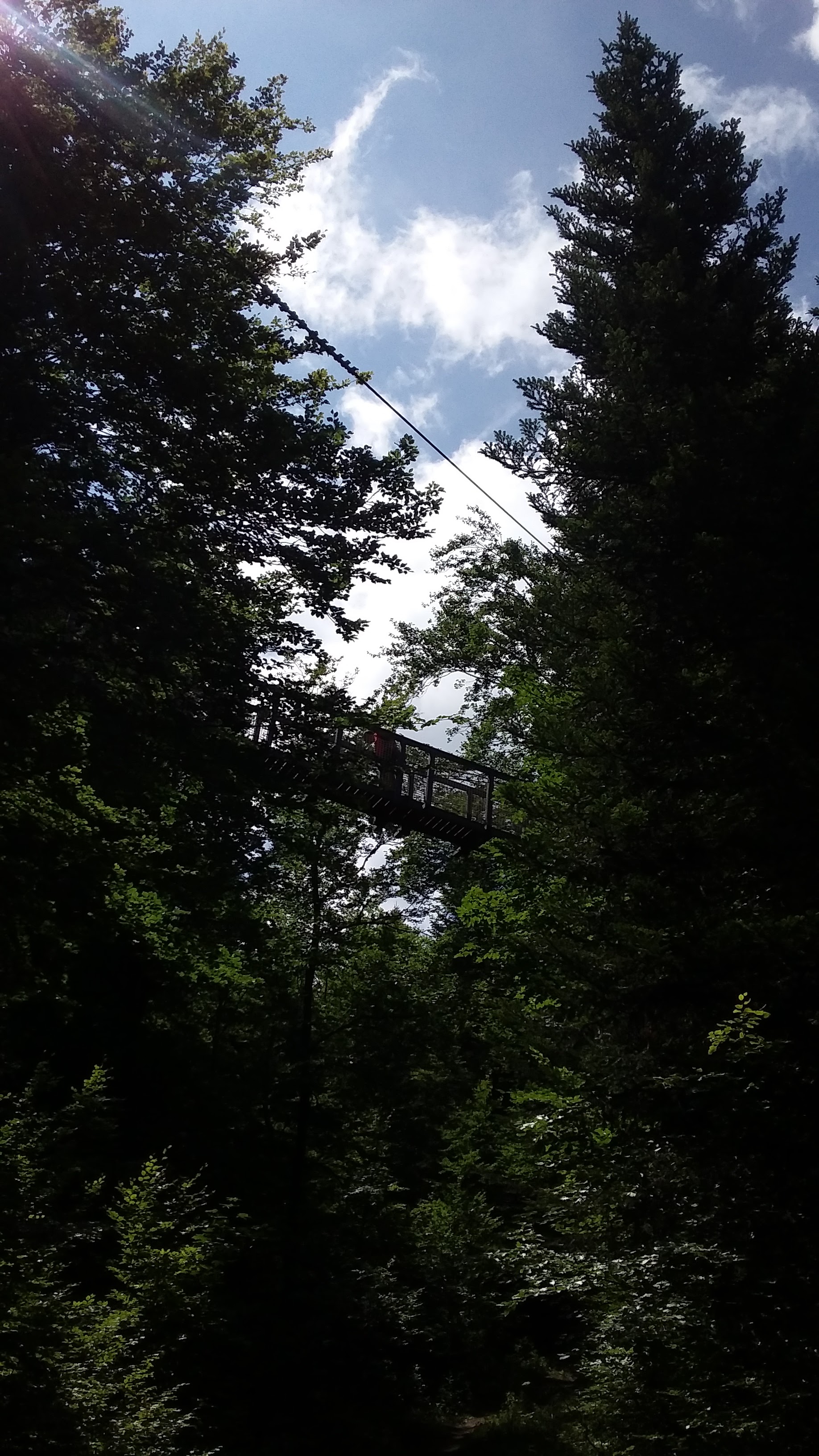 Photo n° 8 de l'avis de Radia.t fait le 15/06/2022 à 22:26