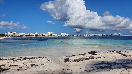 Playas perros Cancun