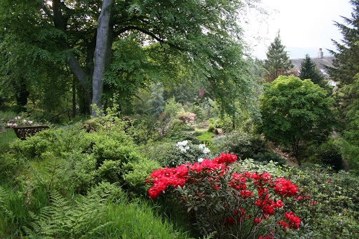 Dunge Valley Gardens