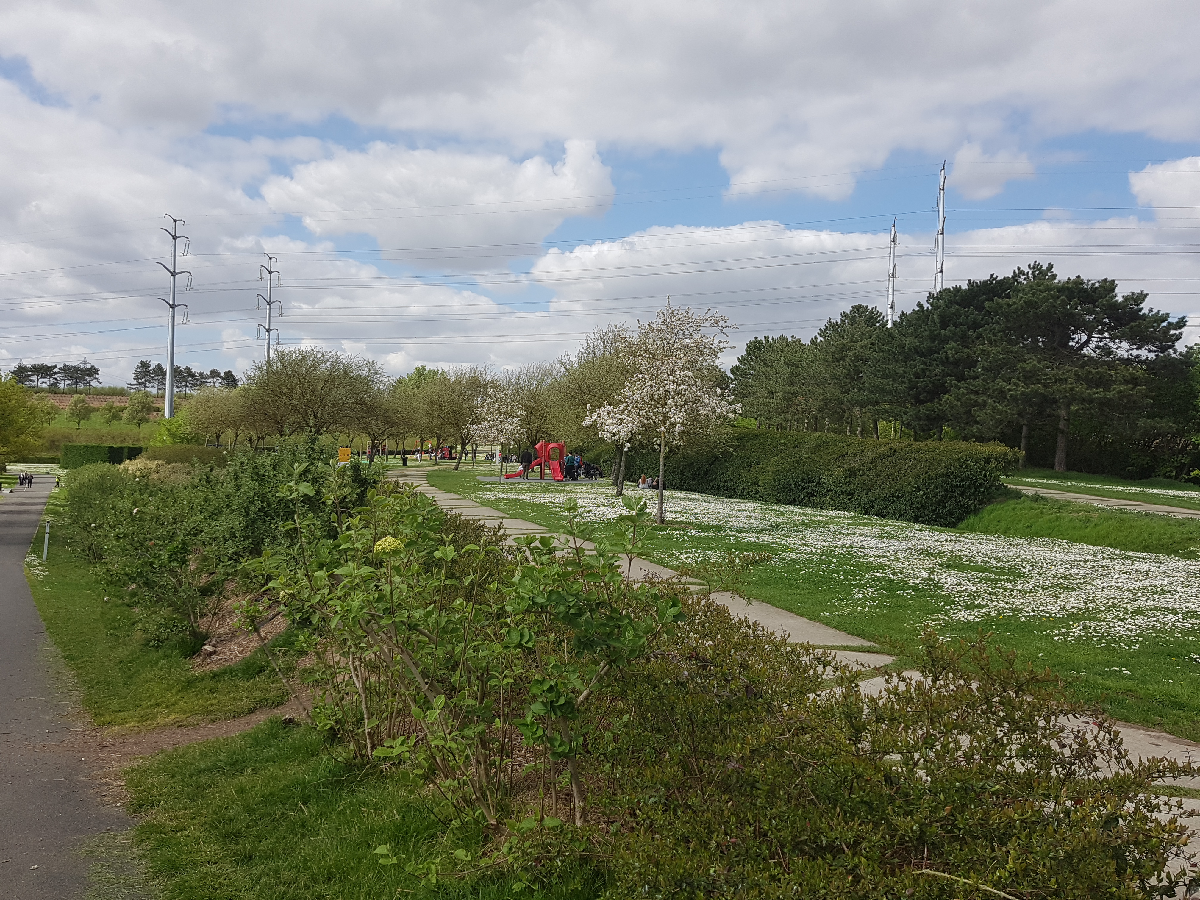 Photo n° 8 de l'avis de Mériame. fait le 16/04/2018 à 15:22