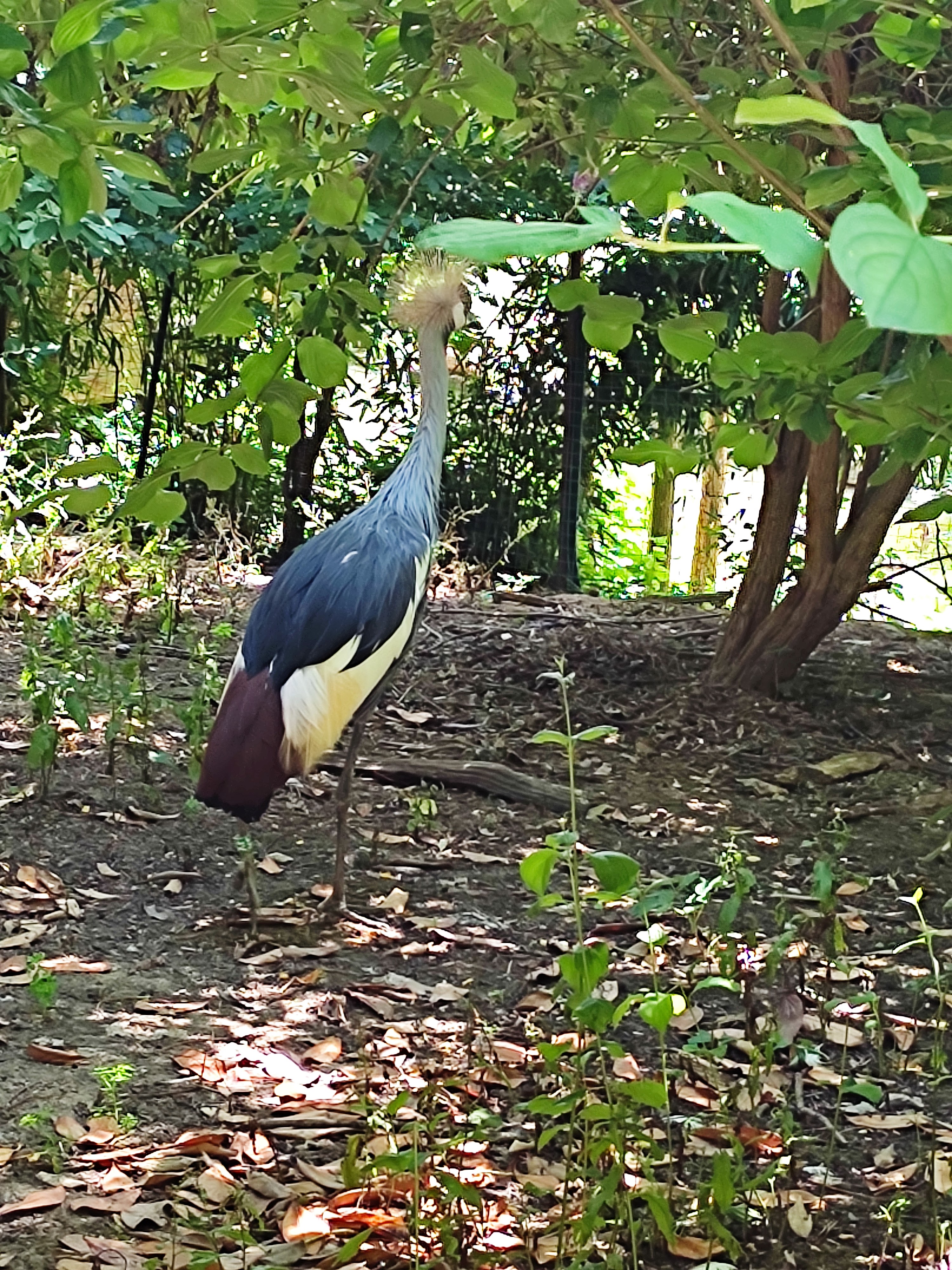 Photo n° 4 de l'avis de Alex.e fait le 09/07/2022 à 08:27