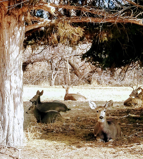 Storage «Ace Storage, Inc.», reviews and photos, 5829 W Louviers Ave, Littleton, CO 80125, USA