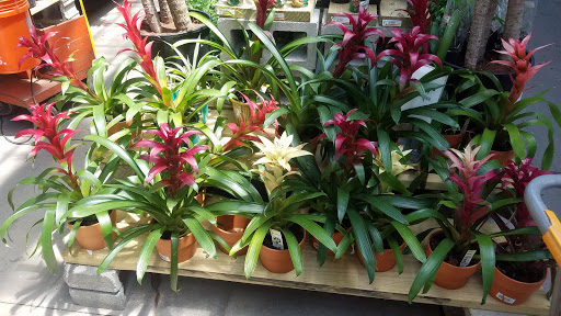 Home Improvement Store «The Home Depot», reviews and photos, 530 Mt Pleasant Ave, Dover, NJ 07801, USA