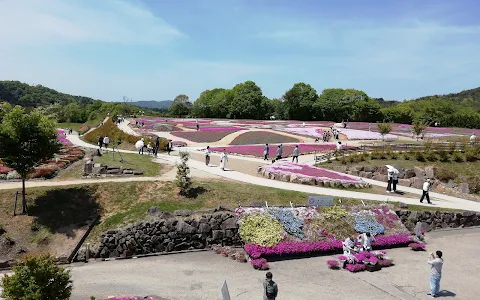 Flower village 花夢の里 image