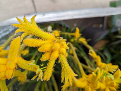 Home Improvement Store «The Home Depot», reviews and photos, 702 65th St, Galveston, TX 77551, USA