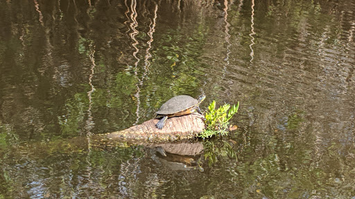 Boat Tour Agency «River Lilly Cruises», reviews and photos, 500 E Prima Vista Blvd, Port St Lucie, FL 34983, USA
