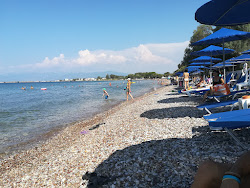 Paralia Niforeikon'in fotoğrafı düz ve uzun ile birlikte