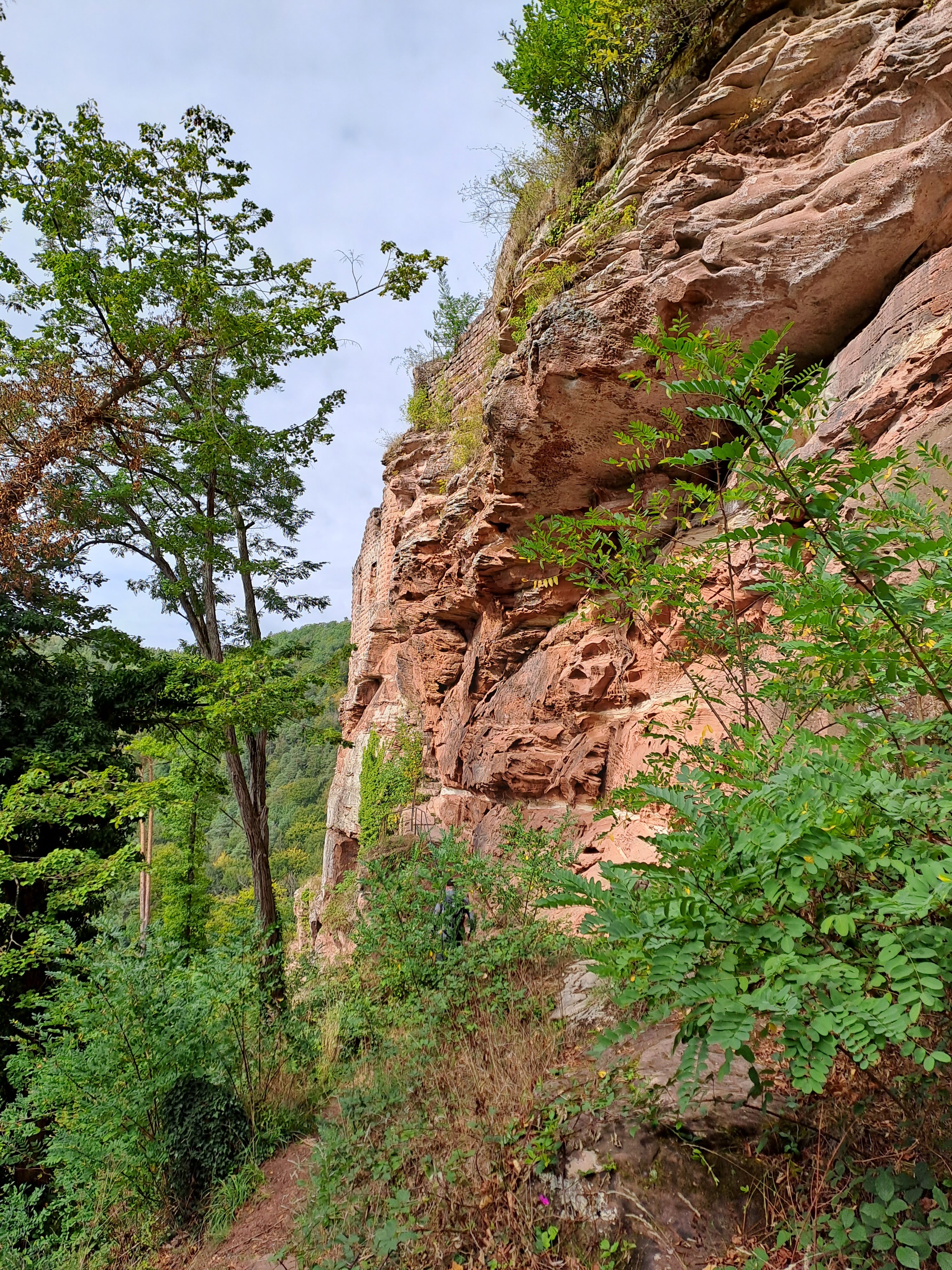 Photo n° 7 de l'avis de Michael.p fait le 27/09/2022 à 18:02