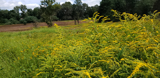 Nature Preserve «Schiff Natural Lands Trust/Schiff Nature Preserve», reviews and photos, 339 Pleasant Valley Rd, Mendham, NJ 07945, USA