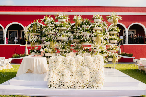 Rosé Florería Veracruz – Veracruz