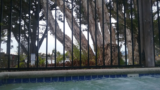 Gym «Harbor Bay Club», reviews and photos, 200 Packet Landing Rd, Alameda, CA 94502, USA